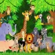 قصه جذاب و شنیدنی کی از همه قشنگ تره