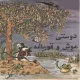 قصه جذاب و شنیدنی دوستی موش و قورباغه
