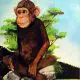 بتمن قسمت 1