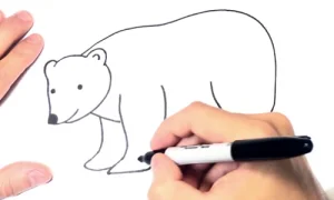 آموزش نقاشی خرس ساده