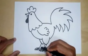 آموزش نقاشی خروس ساده