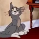 تام وجری 1