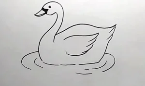 تصویر نقاشی قو زیبا