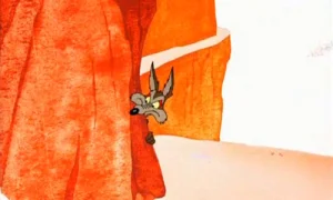 میگ 6