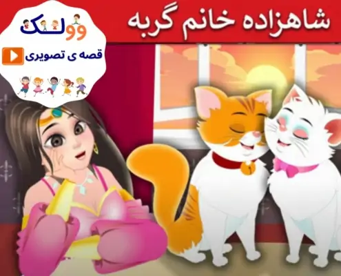 قصه تصویری شاهزاده خانم گربه
